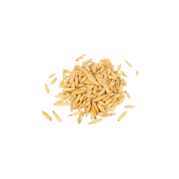 Alt Image