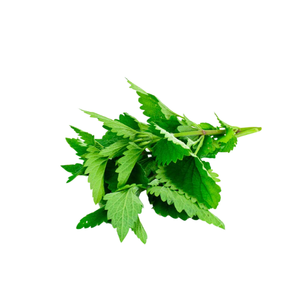 Alt Image
