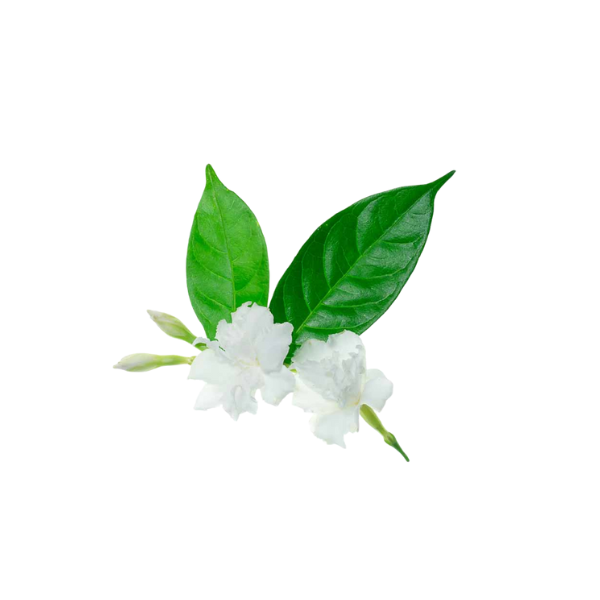 Alt Image