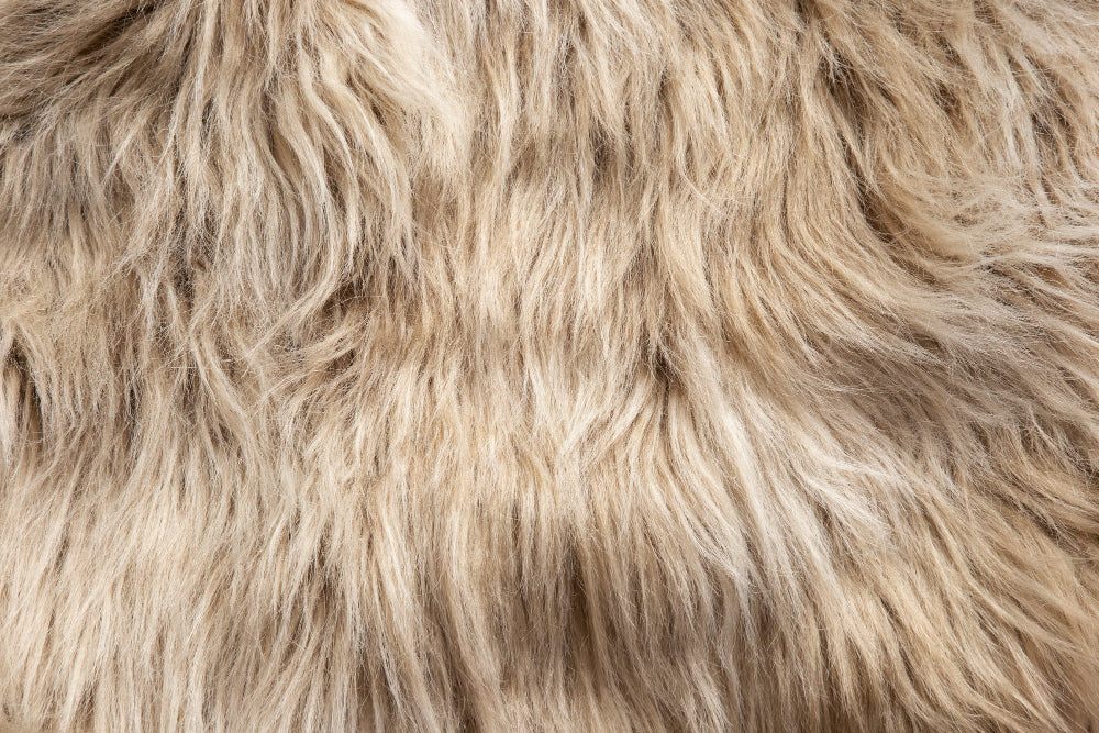 Hard Water, Soft Fur: How RO Water Solves Dull Coat Problems