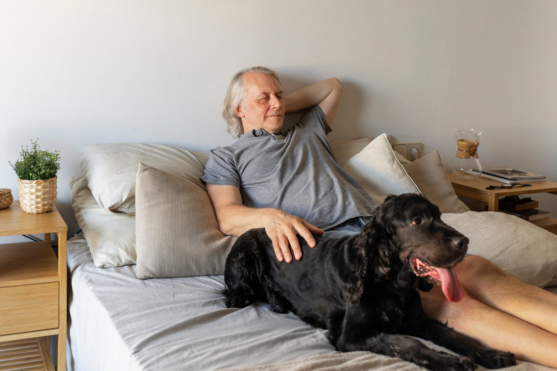 Senior Dog Restless at Night? Causes, Warning Signs, and What Helps