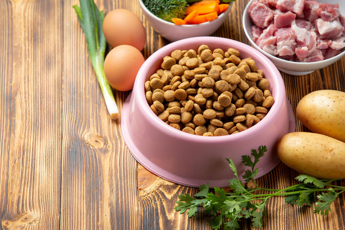Freeze-Dried Raw, Fresh Food, or Kibble: How Do You Choose the Right Pet Food?