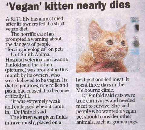 How do I make my cat vegan?