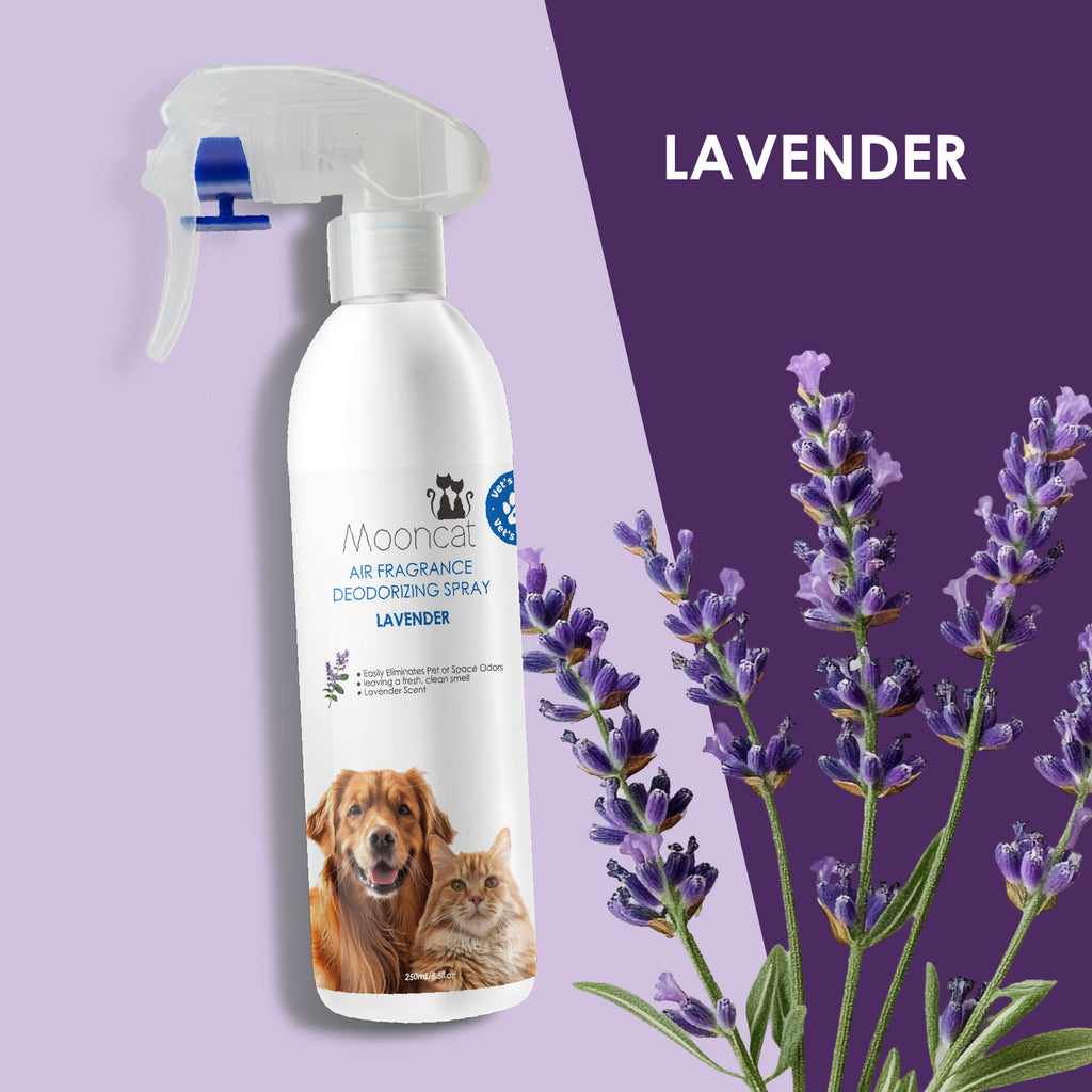 【Mooncat】Air Freshener Spray - Deodorizing Fragrance for a Fresh Home - Green Tea / Lavender
