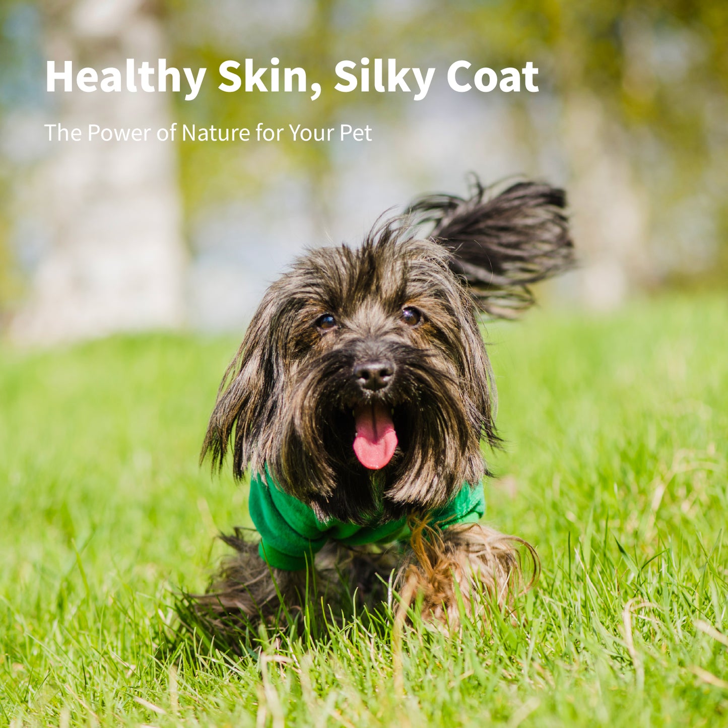 ArfArf pet essential oil- silky type