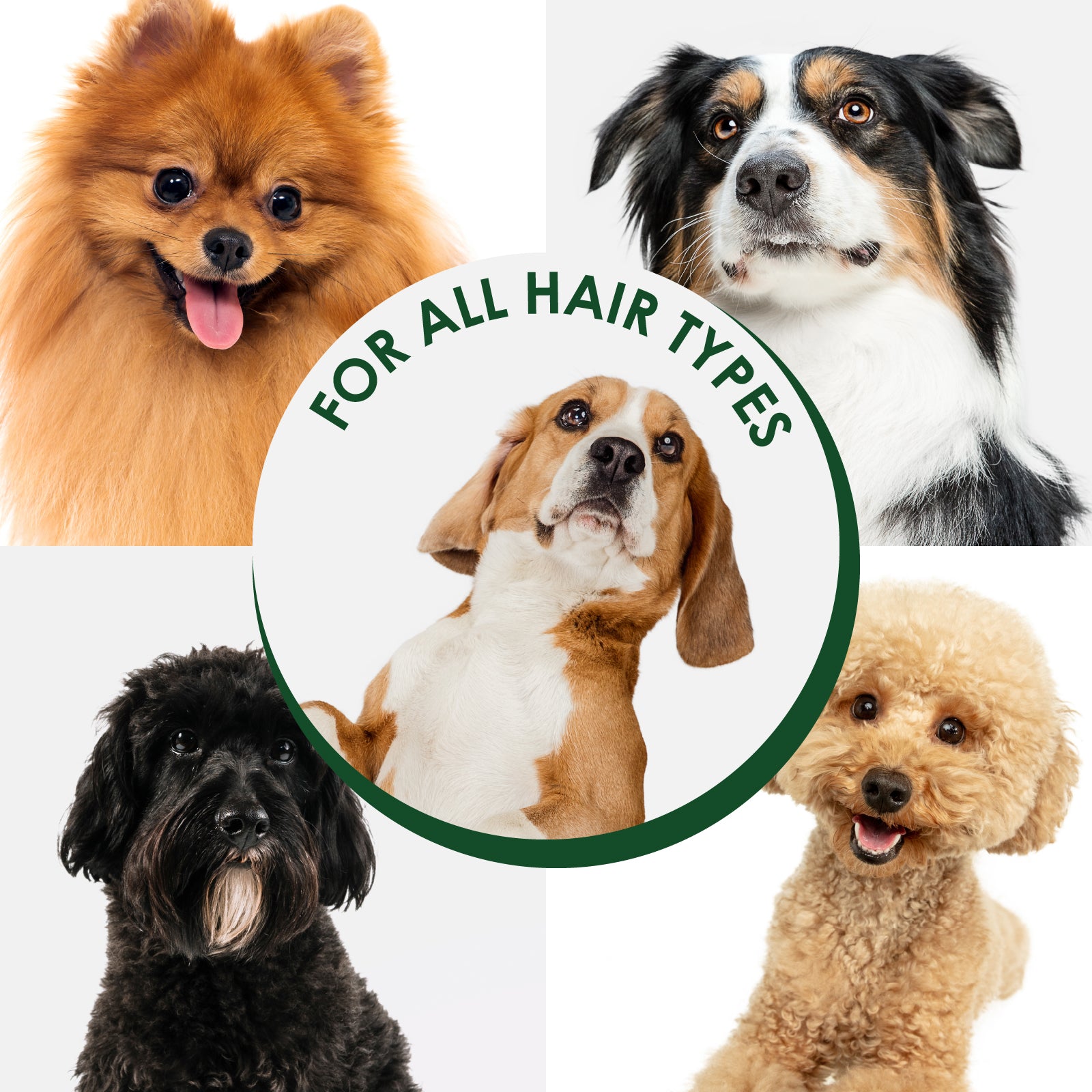 【Arf Arf】Pet Deodorizer Spray Cedar