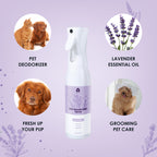【Arf Arf】Pet Deodorizer Spray with Lavender for Fresh and Clean Pets