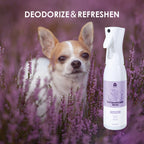 【Arf Arf】Pet Deodorizer Spray with Lavender for Fresh and Clean Pets