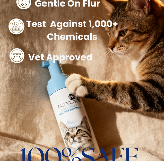 【Mooncat】Waterless Shampoo for Cats and Brush Kit - 5 oz for Shorthair Cats