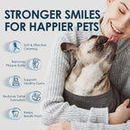 Mooncat® Dental Care Finger Wipes for Pets - 40 Wipes