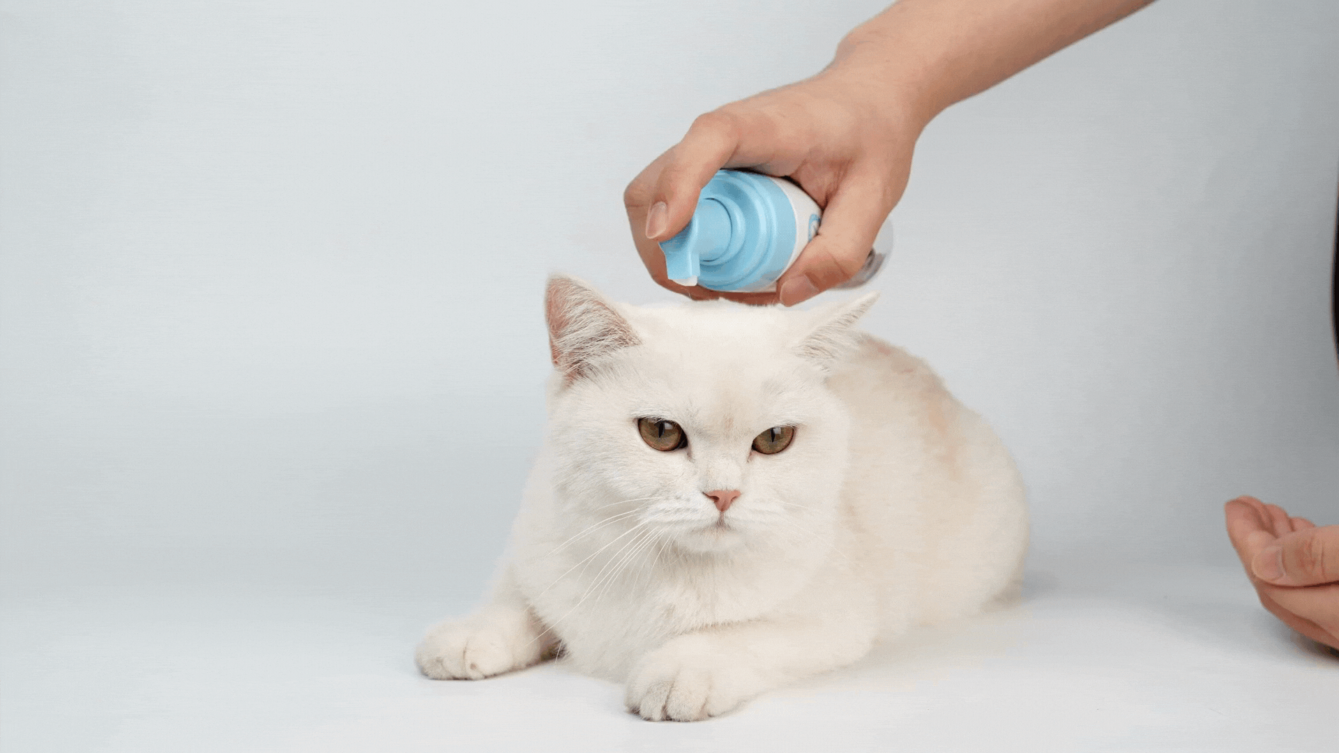 未命名設計.gif__PID:9d5cf5d8-d355-4a0f-9a3c-99c99aee89f2