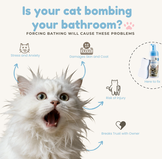 Mooncat® SnapBath Dry Cat Shampoo(5oz) & Brush — Mess‑Free Refresh