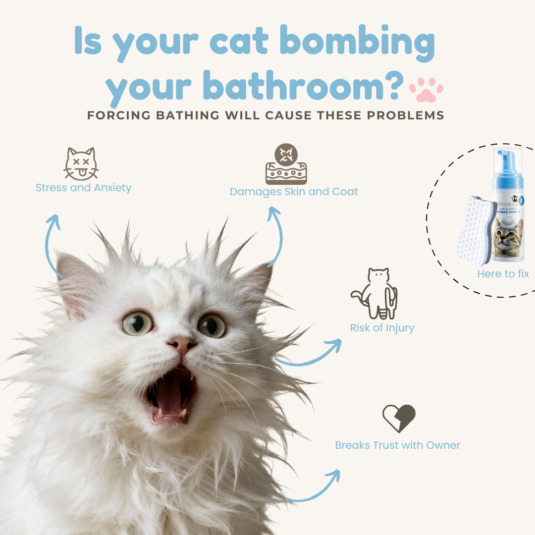Mooncat® SnapBath Dry Cat Shampoo(5oz) & Brush — Mess‑Free Refresh