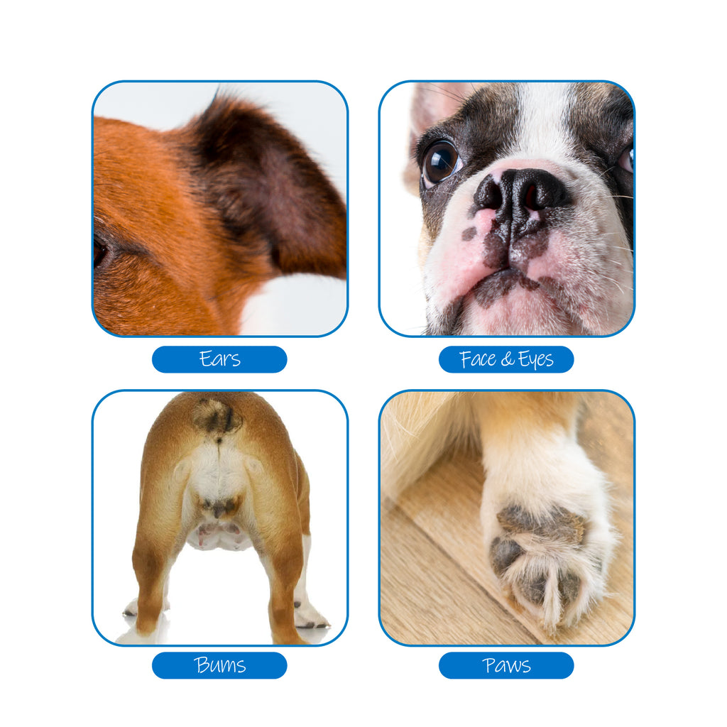 Mooncat Unscented Pet Wipes