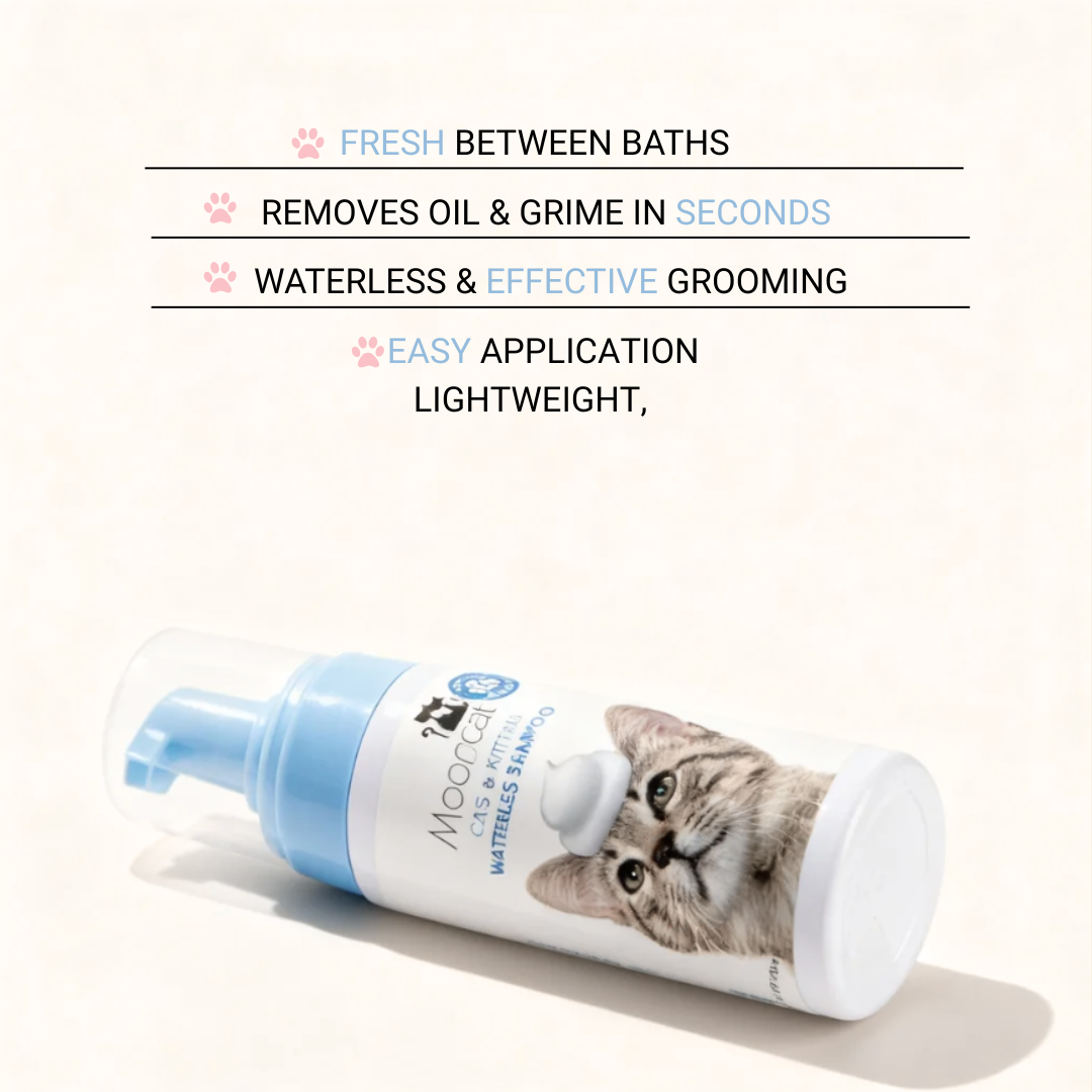 Mooncat® SnapBath Dry Cat Shampoo(5oz) & Brush — Mess‑Free Refresh
