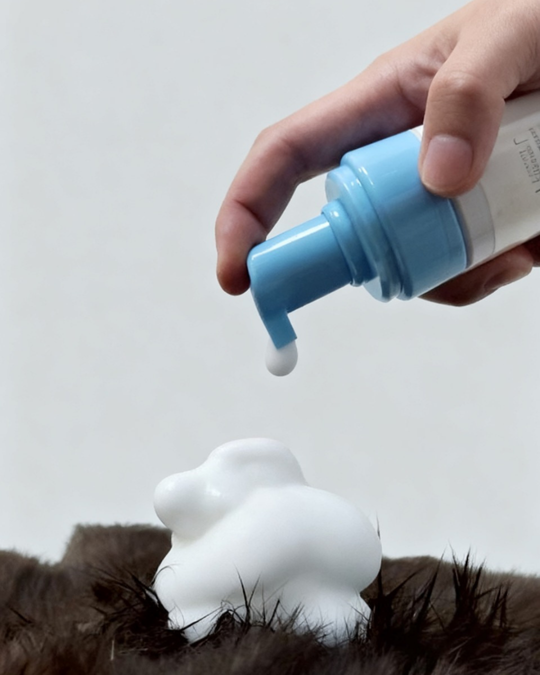Mooncat Waterless Shampoo for Cats and Brush Kit - 5 oz for Shorthair Cats