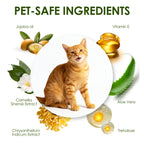 Mooncat® Christmas Grooming Set - Waterless Shampoo, Paw Balm & Dental Wipes (Limited Edition)