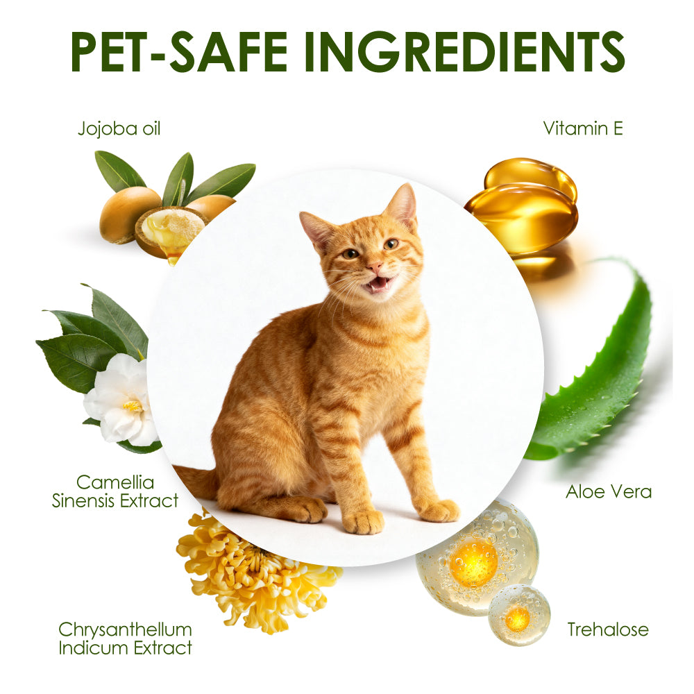 Mooncat® Christmas Grooming Set - Waterless Shampoo, Paw Balm & Dental Wipes (Limited Edition)