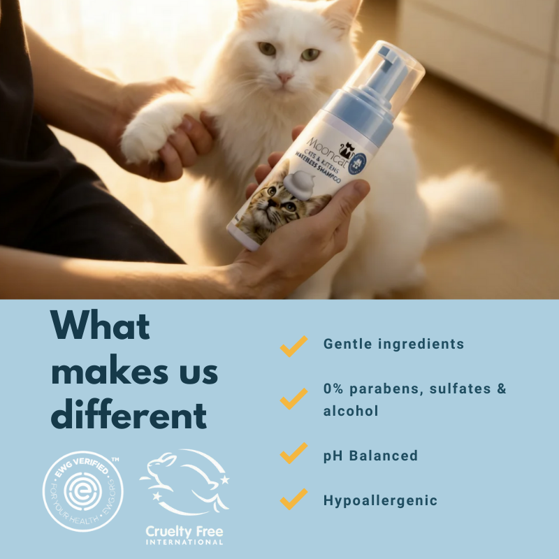 Mooncat® SnapBath Dry Cat Shampoo(5oz) & Brush — Mess‑Free Refresh