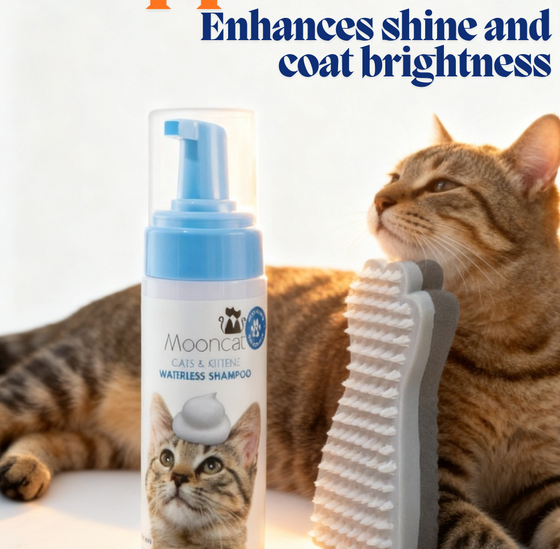【Mooncat】Waterless Shampoo for Cats and Brush Kit - 5 oz for Shorthair Cats