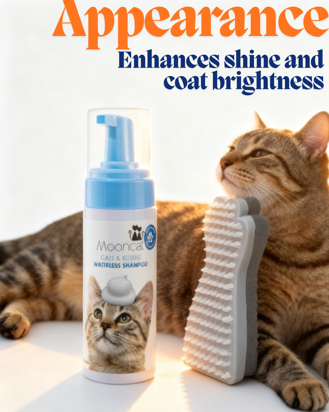 【Mooncat】Waterless Shampoo for Cats and Brush Kit - 5 oz for Shorthair Cats