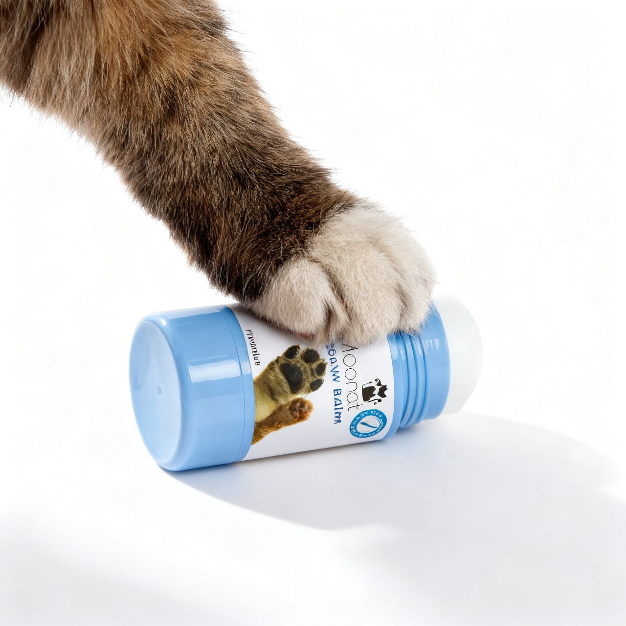 DeWatermark.ai_1758851745332.jpeg__PID:14b00d64-f308-4cc8-b627-3de945ae438d