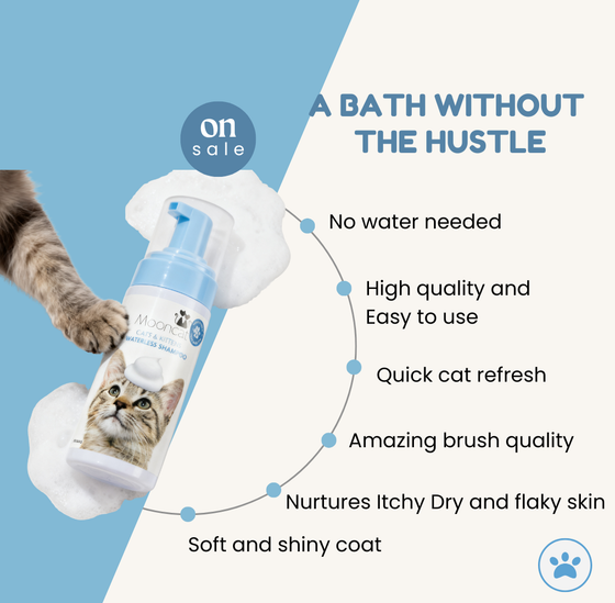 Mooncat® SnapBath Dry Cat Shampoo(5oz) & Brush — Mess‑Free Refresh