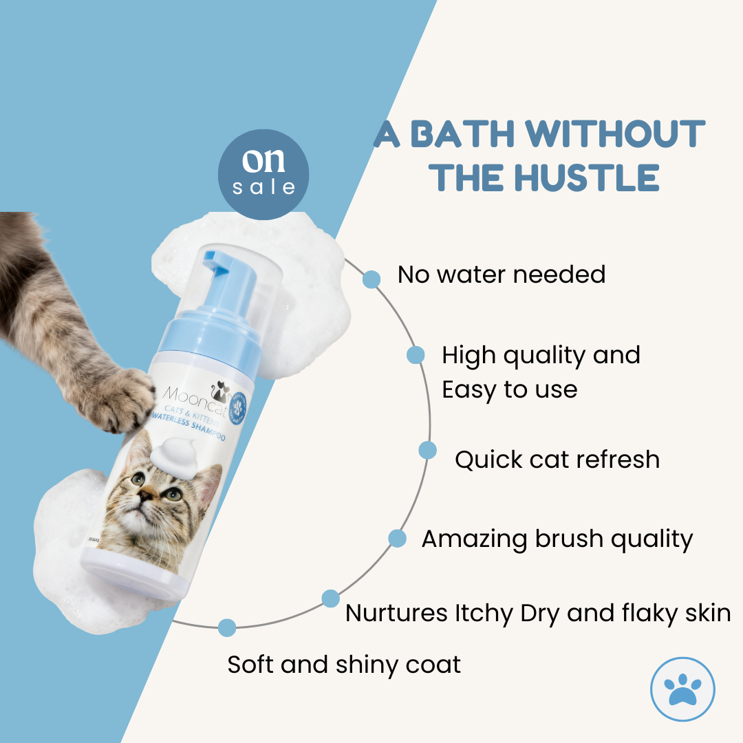 Mooncat® SnapBath Dry Cat Shampoo(5oz) & Brush — Mess‑Free Refresh