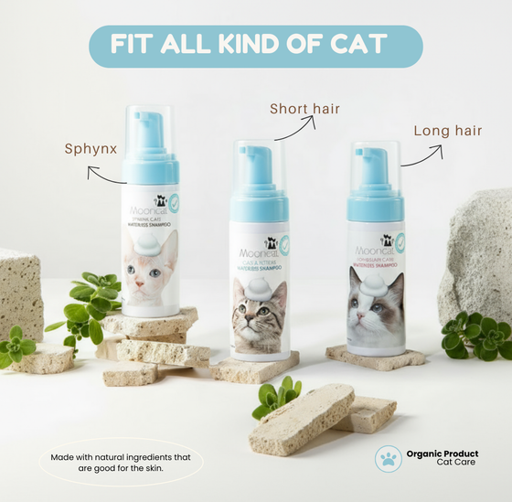 Mooncat® SnapBath Dry Cat Shampoo(5oz) & Brush — Mess‑Free Refresh