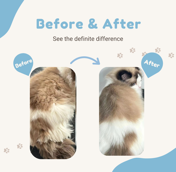 Mooncat® SnapBath Dry Cat Shampoo(5oz) & Brush — Mess‑Free Refresh