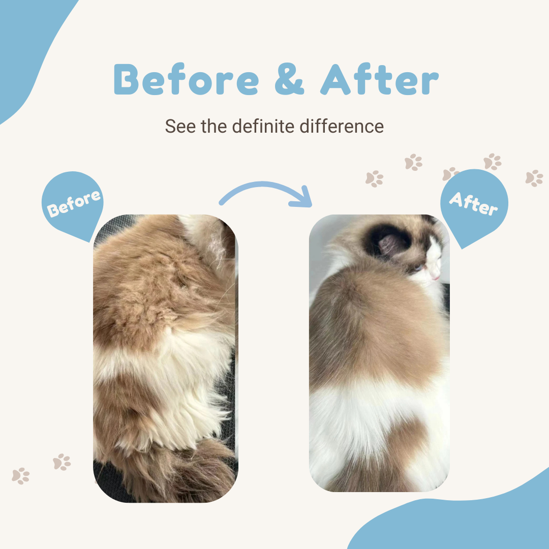 Mooncat® SnapBath Dry Cat Shampoo(5oz) & Brush — Mess‑Free Refresh