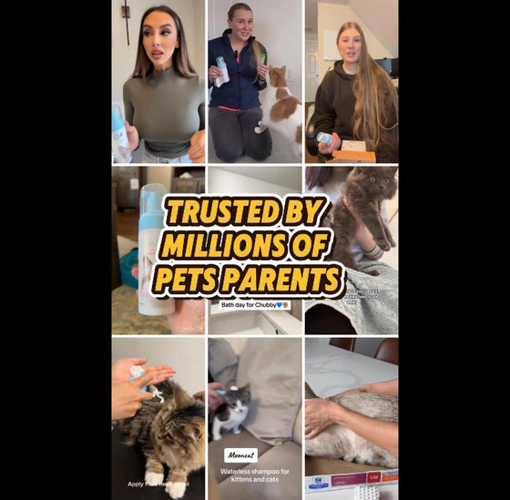 Mooncat® SnapBath Dry Cat Shampoo(5oz) & Brush — Mess‑Free Refresh