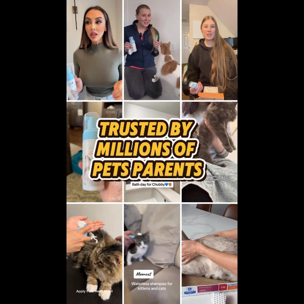 Mooncat® SnapBath Dry Cat Shampoo(5oz) & Brush — Mess‑Free Refresh