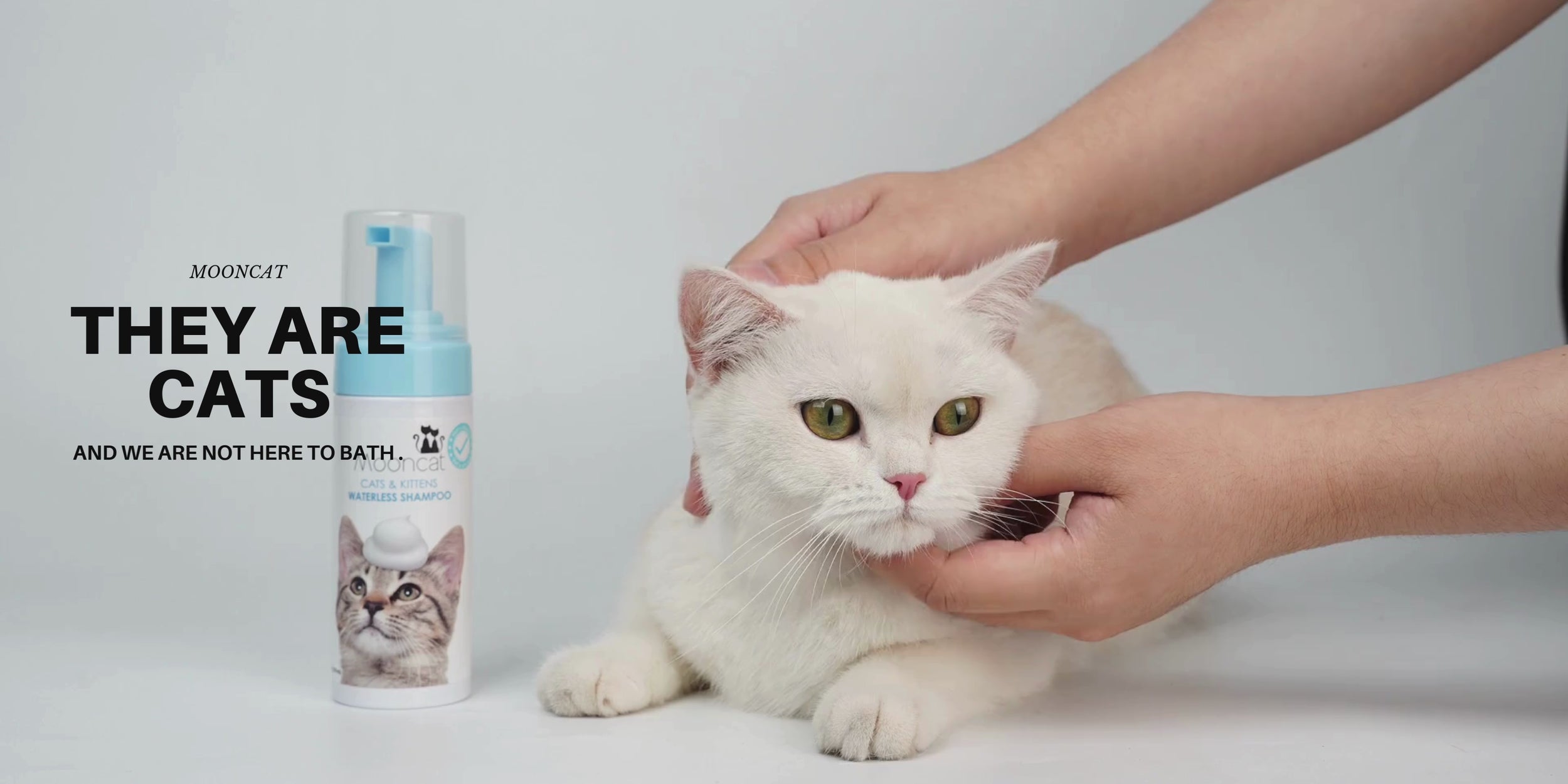 60003000.mp4__PID:73e37fab-06f7-4685-9358-9ac48f23ebe1