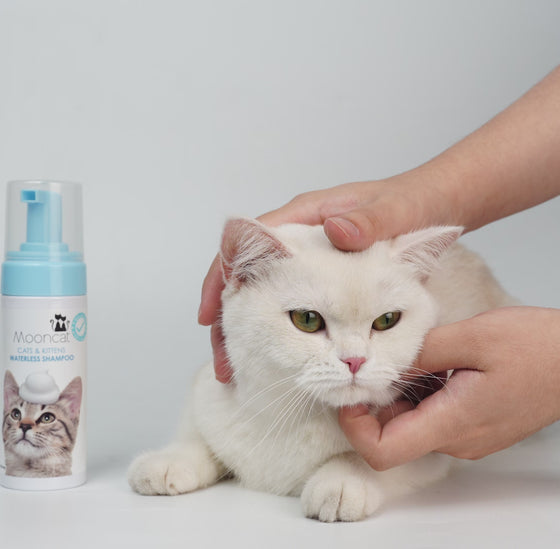 【Mooncat】Waterless Shampoo for Cats and Brush Kit - 5 oz for Shorthair Cats